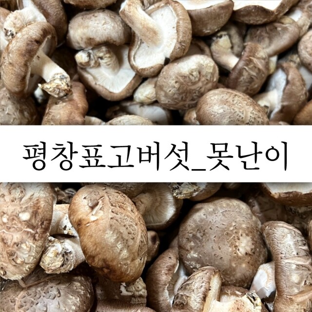 [평창사람들] 평창표고버섯(못난이) 1kg