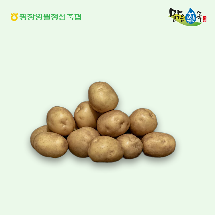 [평창을그대로] 감자
